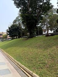 Blk 3 Toh Yi Gardens (Bukit Timah), HDB Executive #629236351